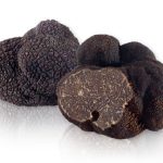 European black truffles (Tuber melansporum)