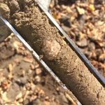 Soil corer extracts soil for DNA analysis.