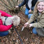 Margaret Townsend (right), Luca (center), harvesting Tuber melanosporum Newtown Truffiere, KY